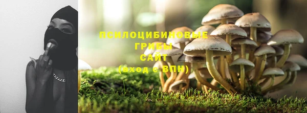 2c-b Беломорск