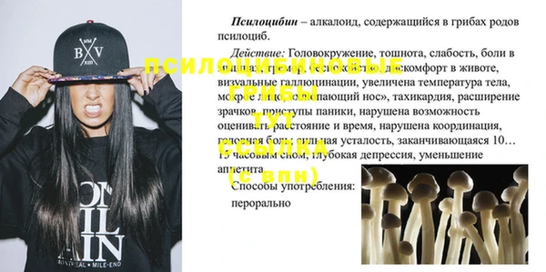 первитин Белоозёрский